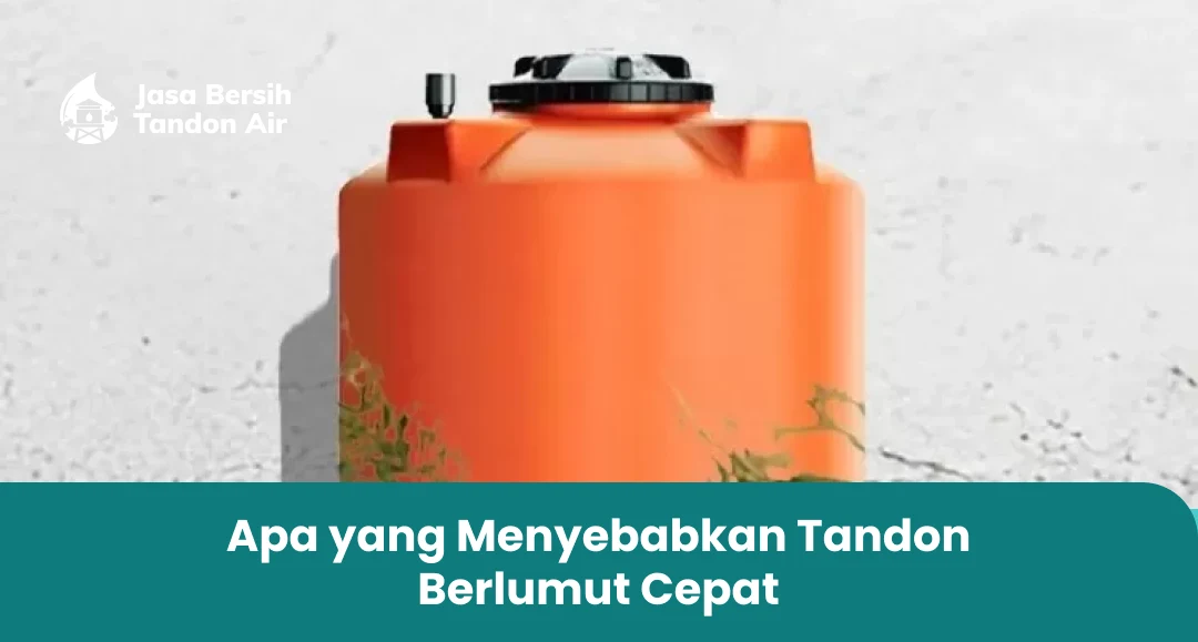 1. Apa yang Menyebabkan Tandon Berlumut Cepat