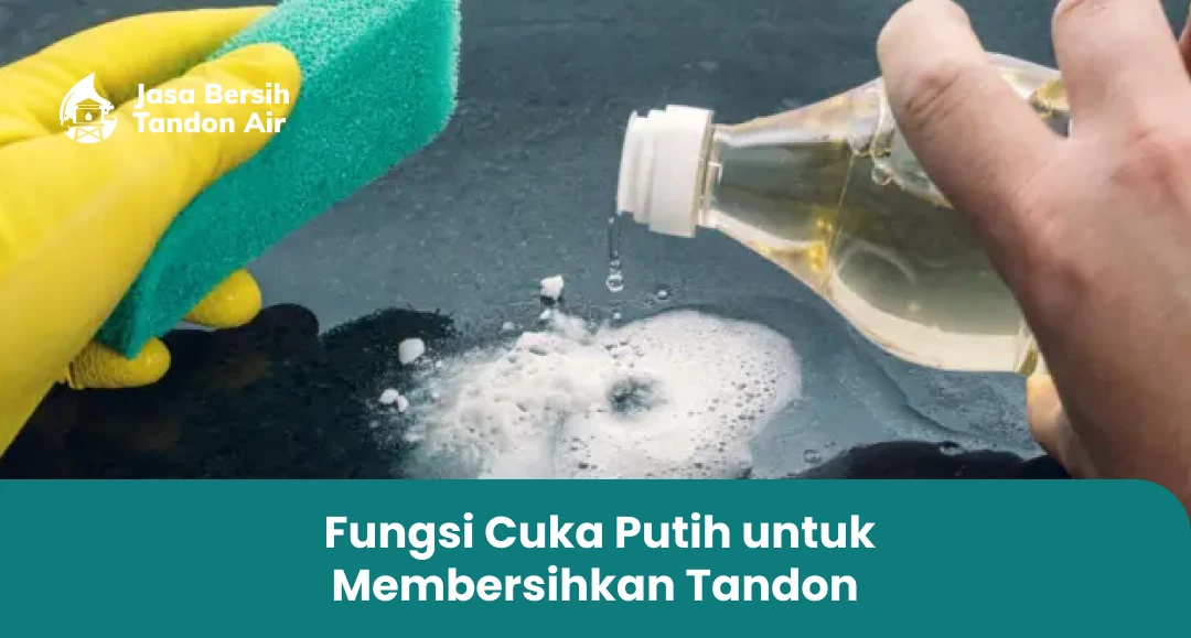 1. Fungsi Cuka Putih untuk Membersihkan Tandon