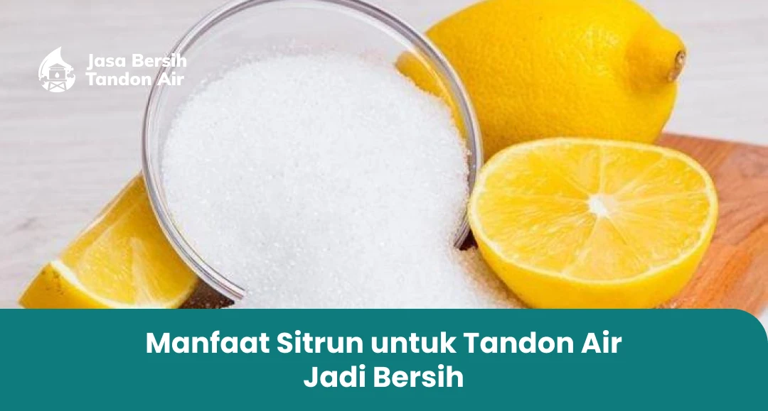 1. Manfaat Sitrun untuk Tandon Air Jadi Bersih