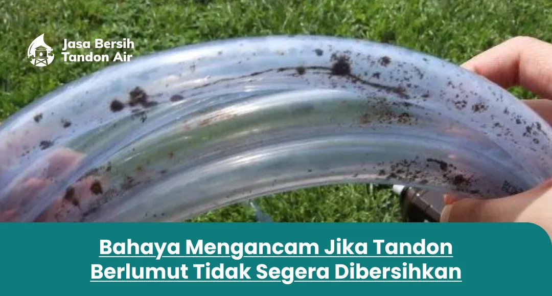 2. Bahaya Mengancam Jika Tandon Berlumut Tidak Segera Dibersihkan