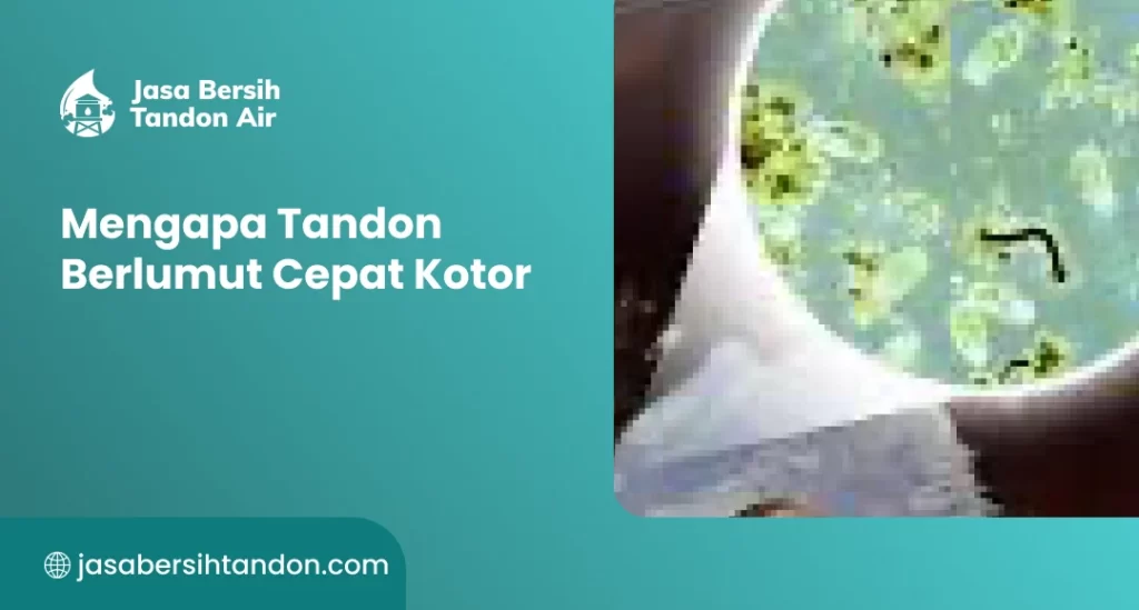 Mengapa Tandon Berlumut Cepat Kotor