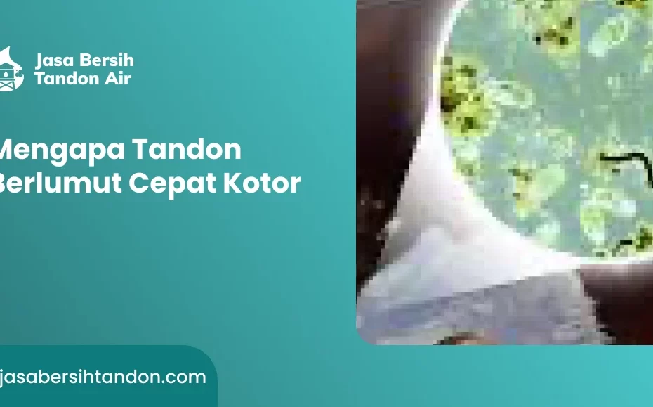Mengapa Tandon Berlumut Cepat Kotor