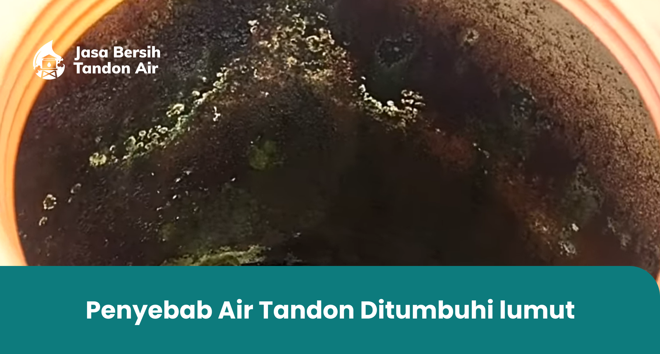 1. Penyebab Air Tandon Ditumbuhi lumut