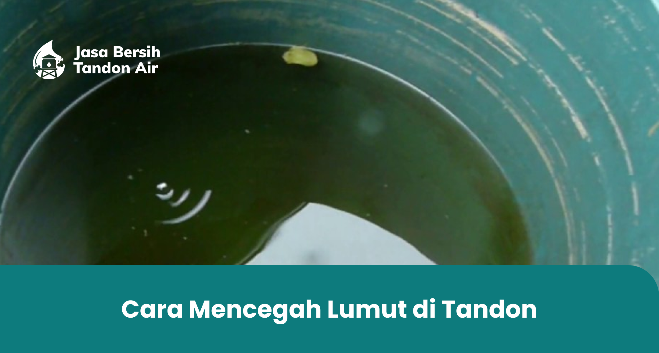 2. Cara Mencegah Lumut di Tandon