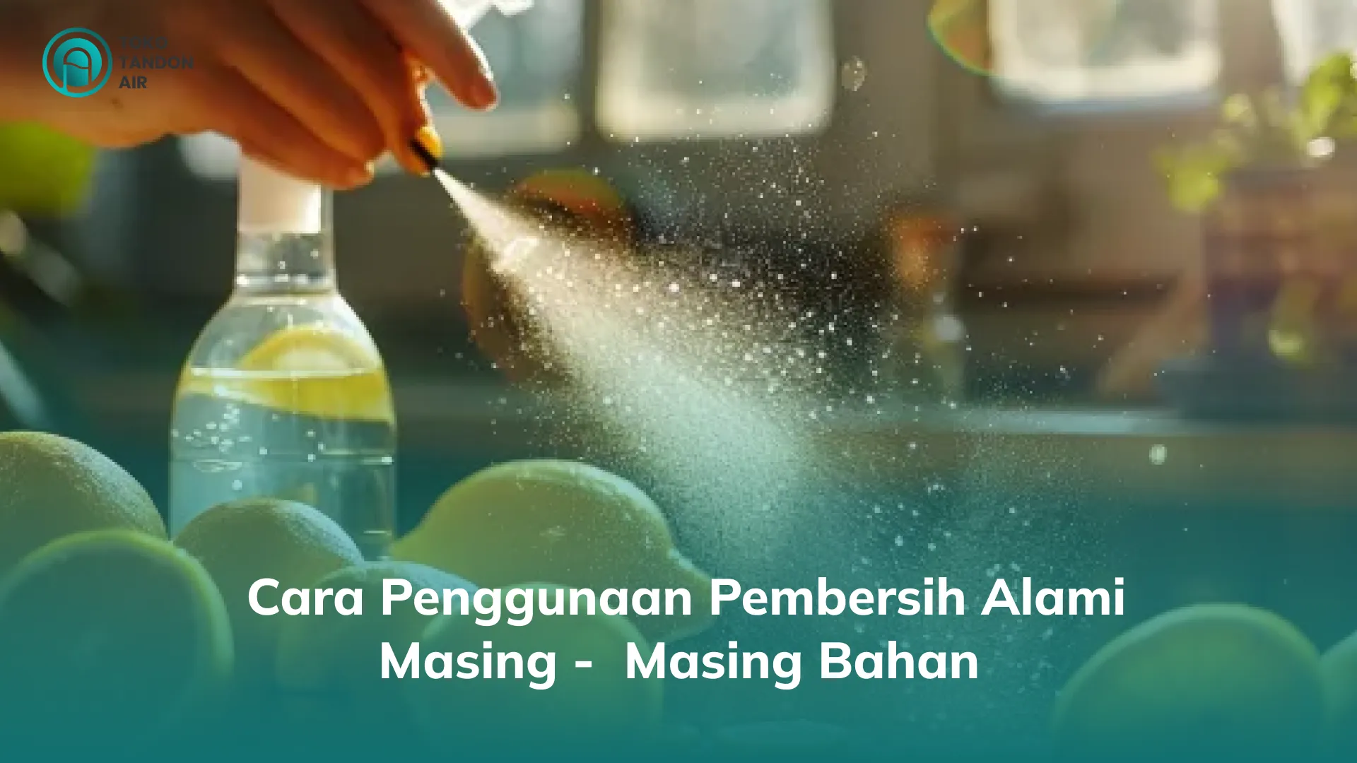 2. Cara Penggunaan Pembersih Alami Masing - Masing Bahan