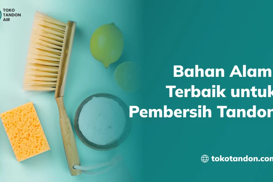 Bahan Alami Terbaik untuk Pembersih Tandon