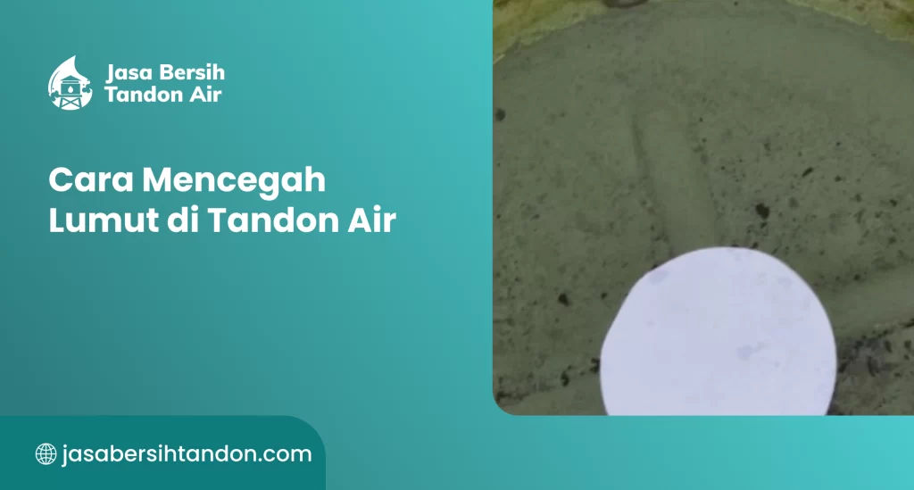 Cara Mencegah Lumut di Tandon Air