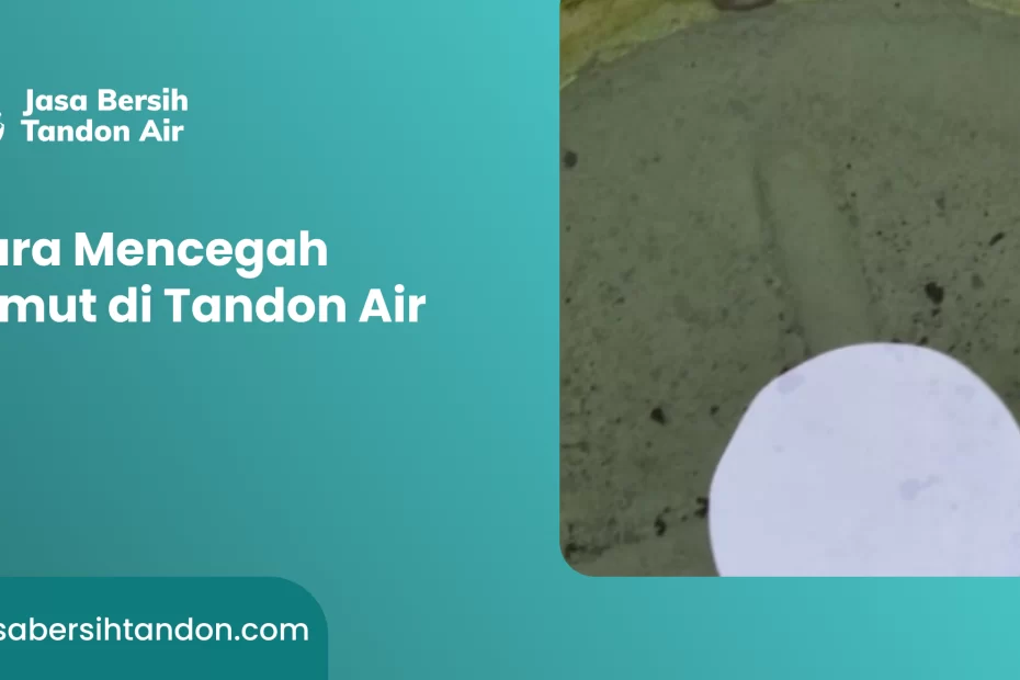 Cara Mencegah Lumut di Tandon Air
