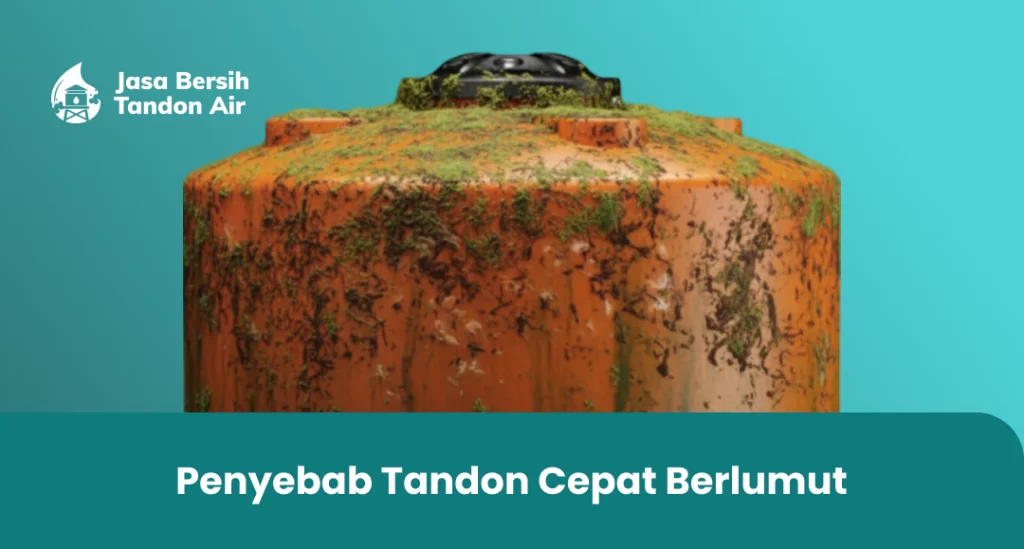 1. Penyebab Tandon Cepat Berlumut