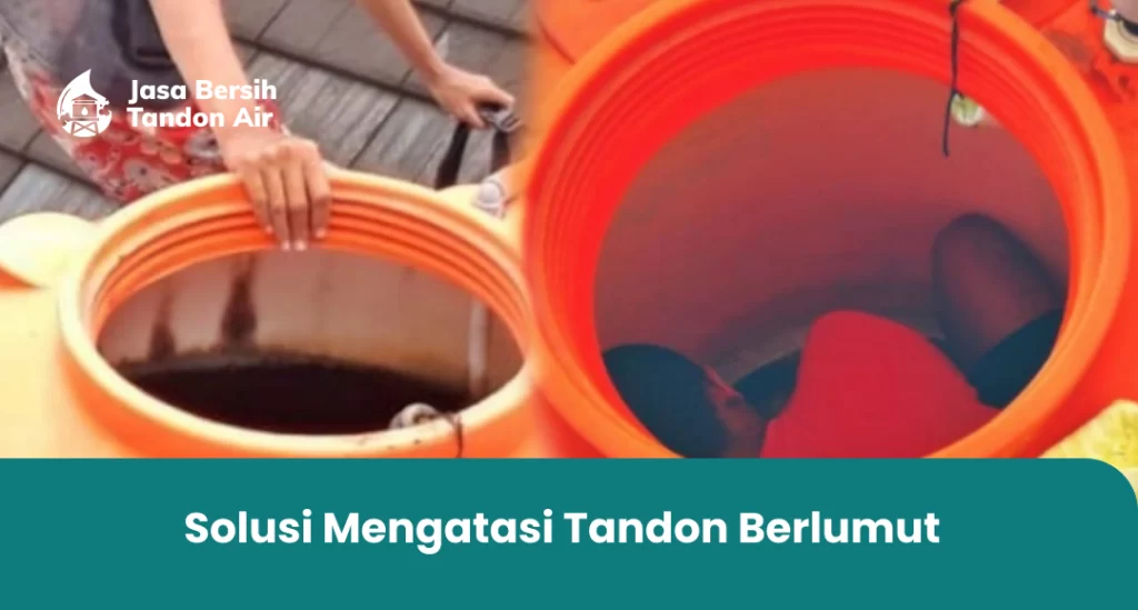 2. Solusi Mengatasi Tandon Berlumut