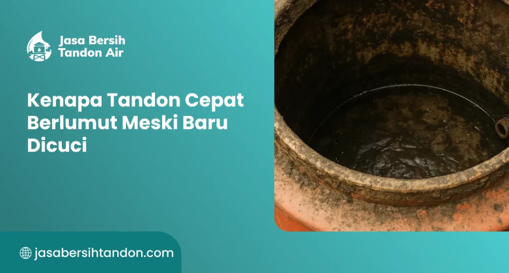 Kenapa Tandon Cepat Berlumut Meski Baru Dicuci