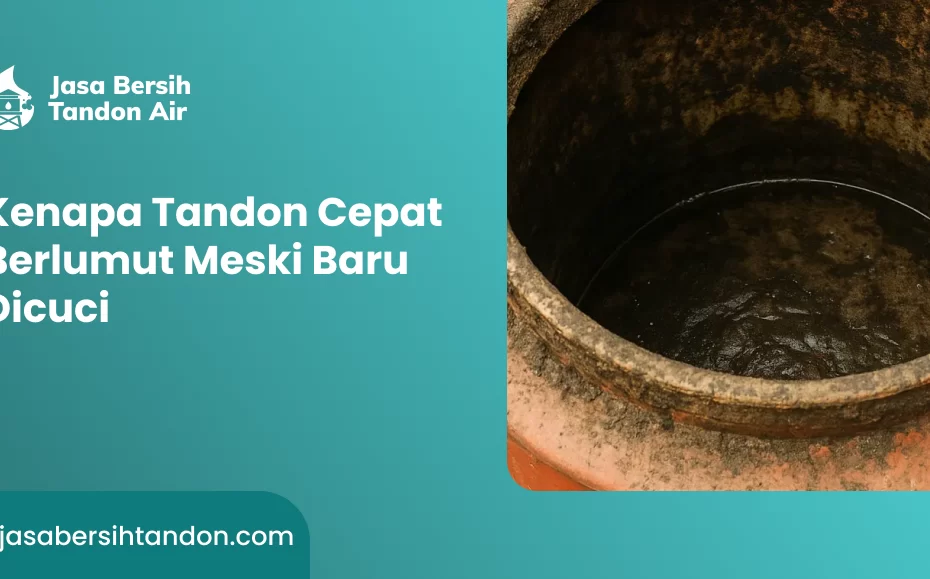 Kenapa Tandon Cepat Berlumut Meski Baru Dicuci