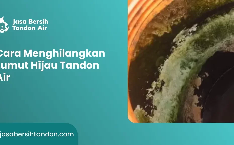 cara_menghilangkan_lumut_hijau_tandon_air_1x